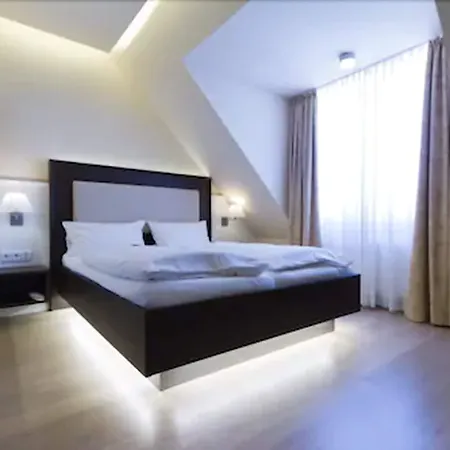 ذا هيدلبرغ إكزيلنز هايدلبرغ