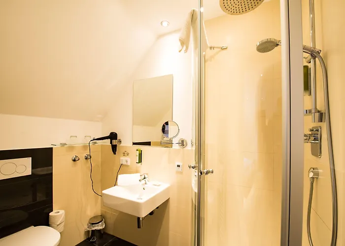 ذا هيدلبرغ إكزيلنز