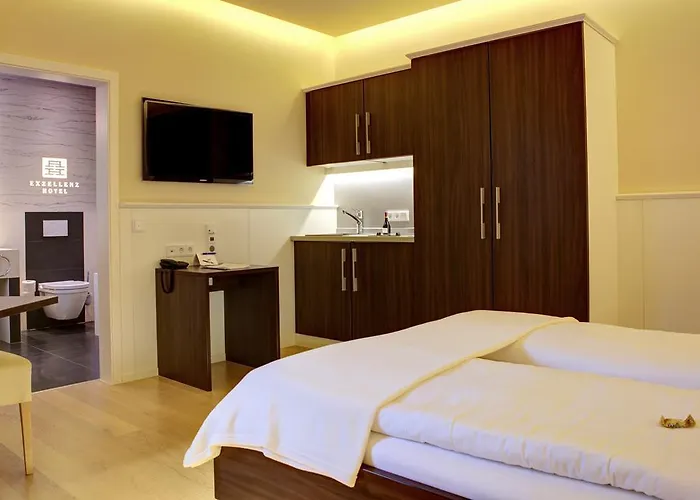 ذا هيدلبرغ إكزيلنز هايدلبرغ