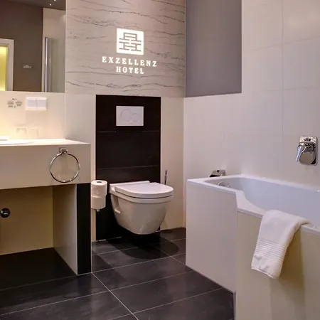 The Exzellenz Hotel 3*