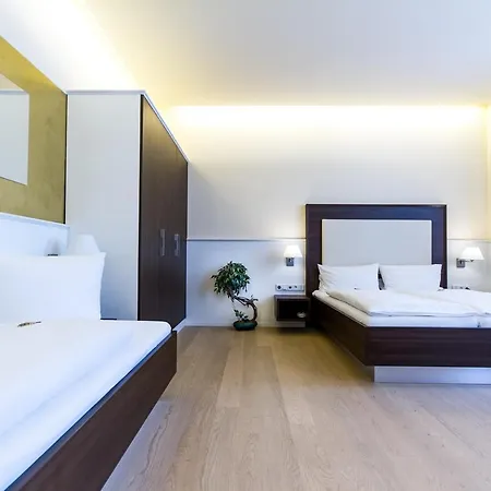 The Exzellenz Otel Heidelberg