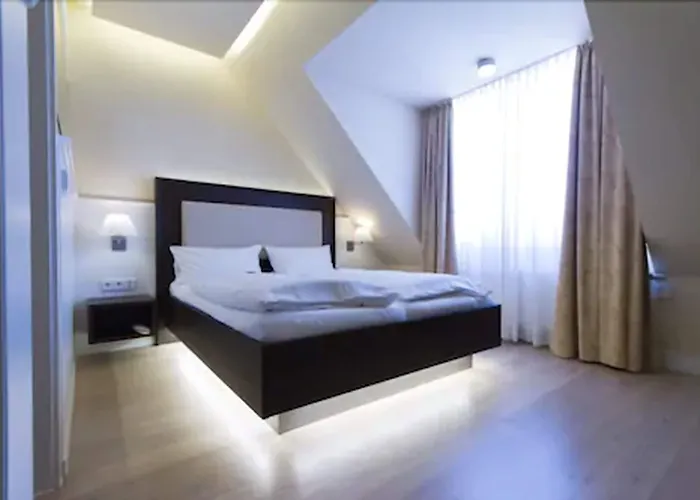 The Exzellenz Heidelberg