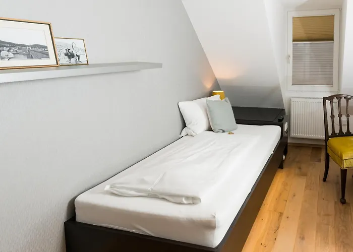 Hotel The Exzellenz Heidelberg